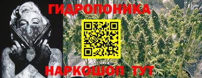 каннабис Новозыбков