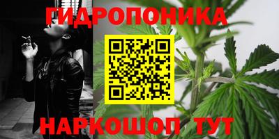 a pvp Новокубанск