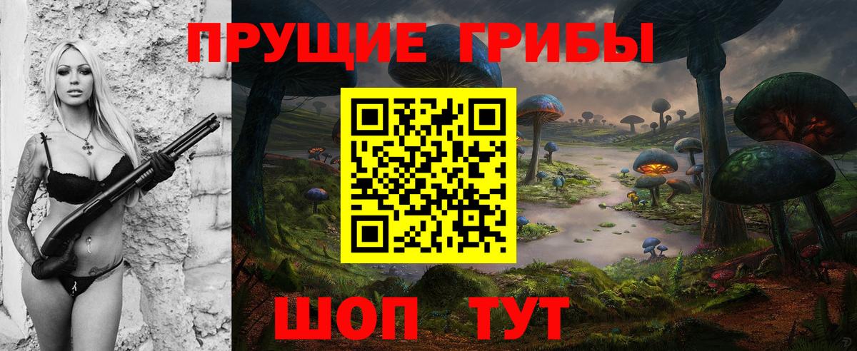 Псилоцибиновые грибы мицелий Сибай